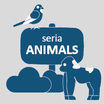 animals, seria SMART